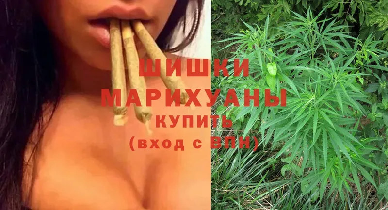 Бошки марихуана Amnesia  купить  цена  Нерехта 